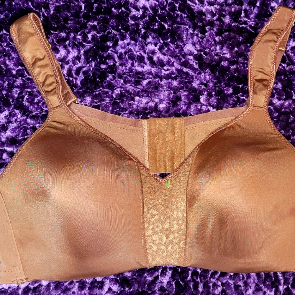 Ashley Stewart Butterfly Bra